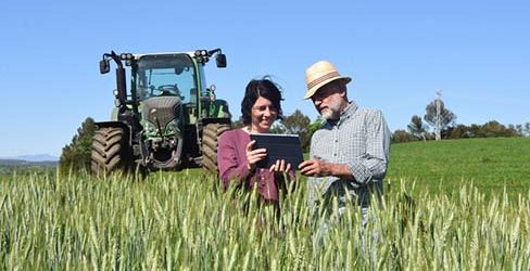 couple of farmers in a field with a digital tablet